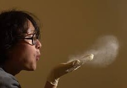 Ученые нашли в домашней пыли 9 тыс. видов микробов