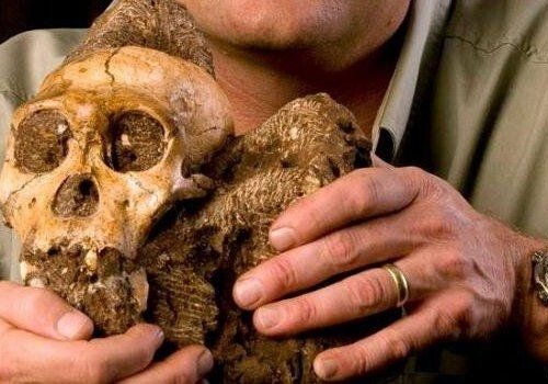 Останки нового человеческого вида обнаружены в ЮАР