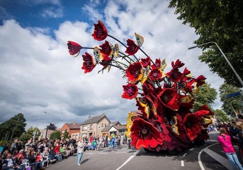 Вдохновленные творчеством Ван Гога: парад цветов (Фото)