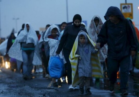 Австрия построит забор от беженцев на границе со Словенией