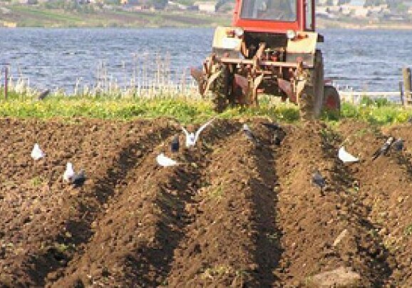 В Азербайджане проходит мониторинг по выявлению фактов незаконного использования земель