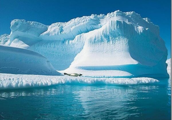 На Северном полюсе зафиксировано рекордное потепление 