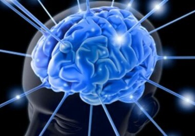 Американские биоинженеры вырастили человеческий мини-мозг