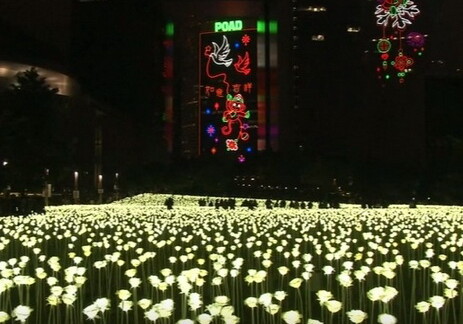 В Гонконге в честь Дня влюбленных зажгли 25 тысяч роз (Видео)