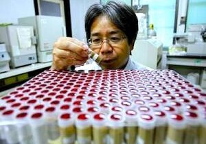 Японцы открыли бактерии, разлагающие пластик