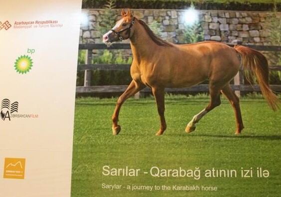 По следам Карабахского коня 