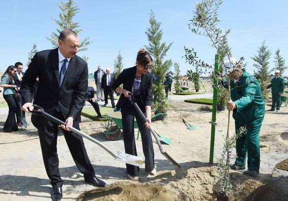 Президент Азербайджана принял участие в кампании по посадке деревьев (Фото)
