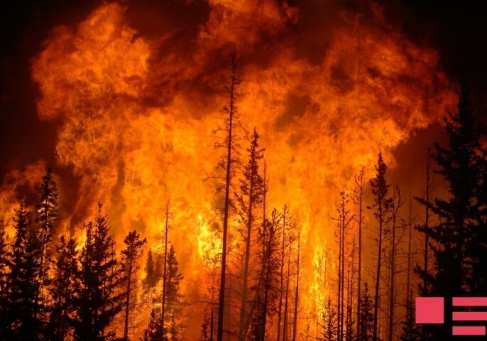 Пожар в Масазыре и Гаджигабуле: горит сухая трава