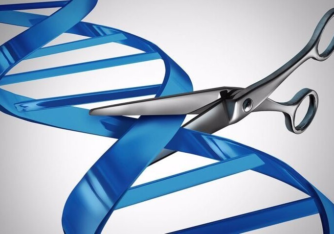 В США разрешили генетические эксперименты на людях