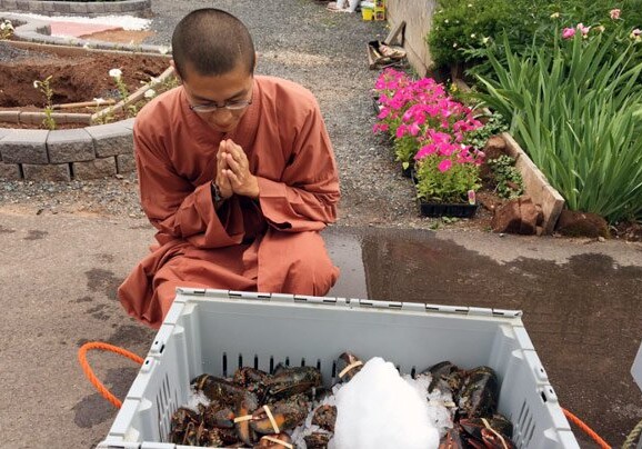 Буддийские монахи купили и выпустили на волю 272 кг лобстеров
