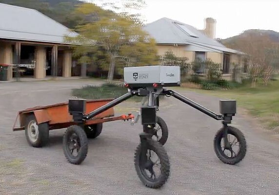В Австралии испытали робота-пастуха для овец (Видео)