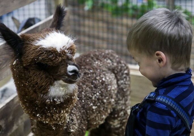Пятилетний малыш стал сотрудником Московского зоопарка