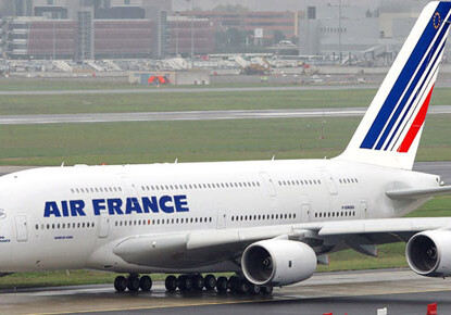 Мышь задержала рейс Air France на двое суток