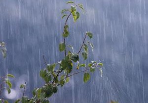 Завтра в Баку интенсивность дождей уменьшится