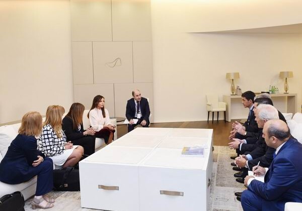 Мехрибан Алиева встретилась с делегацией Палаты депутатов Национального конгресса Аргентины