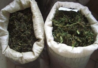 В Сумгайыте у наркодилера изъяли 6,5 кг наркотических веществ