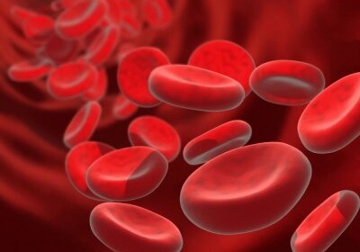 Австралийские генетики создали искусственные клетки крови