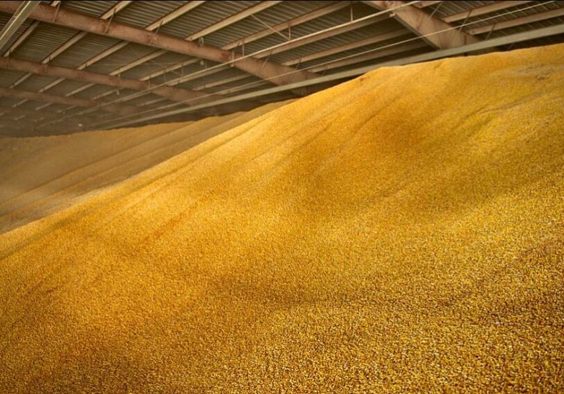 Азербайджан закупит у Казахстана миллион тонн зерна