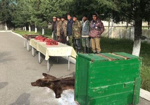 Азербайджанские пограничники задержали браконьеров, убивших медведя (Фото)