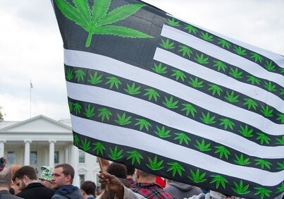 9 штатов США проголосуют по вопросу легализации марихуаны