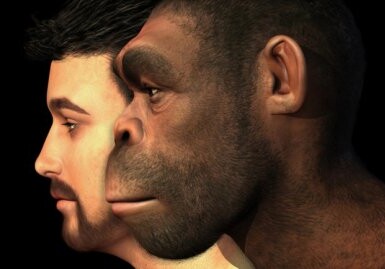 Гены неандертальцев исчезают из ДНК современного человека