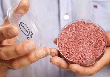 Ученые: мясо из пробирки за три доллара спасет человечество