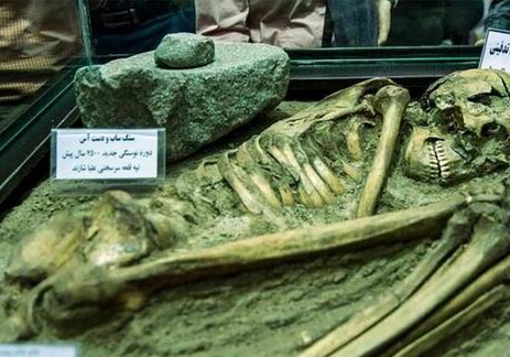 В иранском музее показали скелет возрастом 7,5 тысяч лет