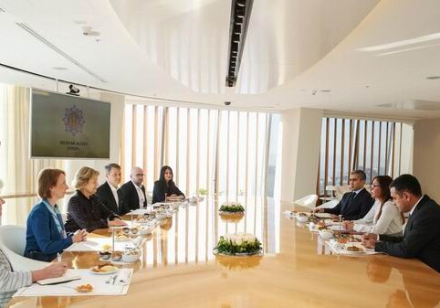 Первая леди Азербайджана встретилась с делегацией во главе с Баронессой Николсон (Фото)