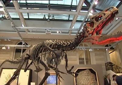 Скелет динозавра ушел с молотка за 1 млн евро