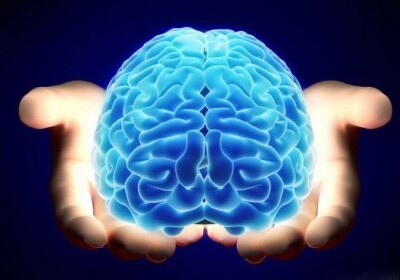 Ученые: мозг человека активно развивается до 30 лет