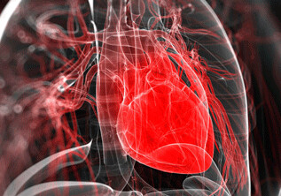 Ученые создали искусственные стволовые клетки сердца