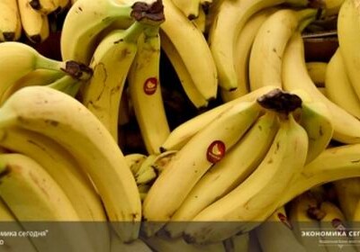 Бананы неожиданно оказались лекарством от гриппа и ВИЧ