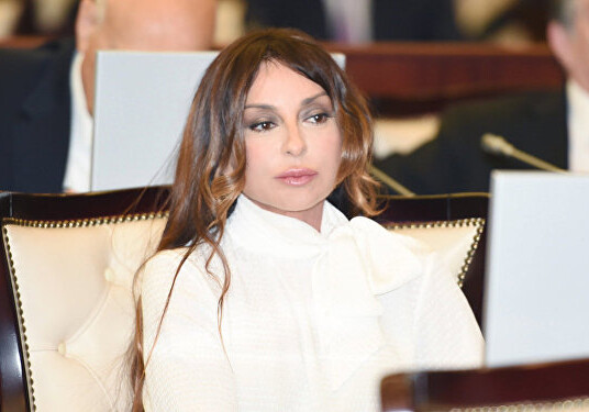 Первая леди Азербайджана объявлена самым активным депутатом парламента