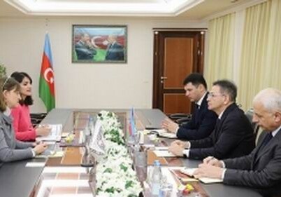 Мадат Гулиев встретился с главой представительства МККК в Азербайджане в связи с возвращением тела Чингиза Гурбанова