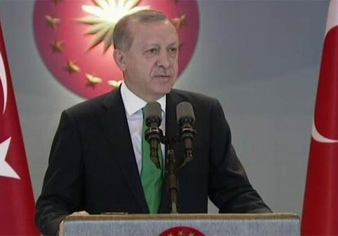Сторонники Гюлена нанесли серьезный удар по интересам Турции - Эрдоган 