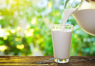 Молоко жирафа может стать новым суперпродуктом