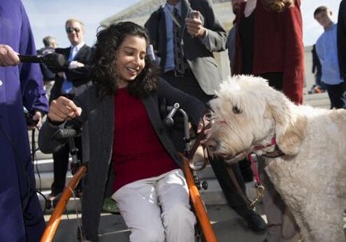 Верховный суд США разрешил девочке с параличом посещать школу с собакой