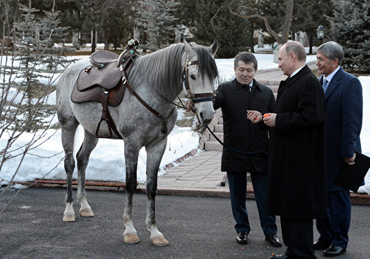 Атамбаев подарил Путину кыргызского скакуна (Фото)