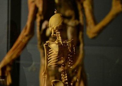 Ученые обнаружили в человеческом теле 5 ненужных органов