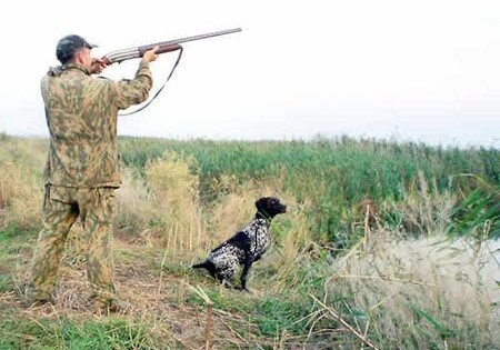 Стоимость охотничьей лицензии увеличится в 10 раз - в Азербайджане 