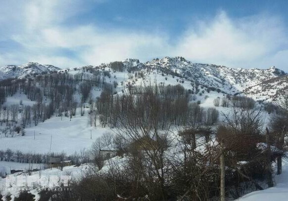 Снег в Лерике нанес серьезный ущерб сельскому хозяйству (Фото) 