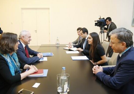 Лейла Алиева встретилась с официальными представителями FAO (Фото) 