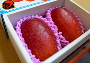 В Японии килограмм манго продан за 3700 долларов