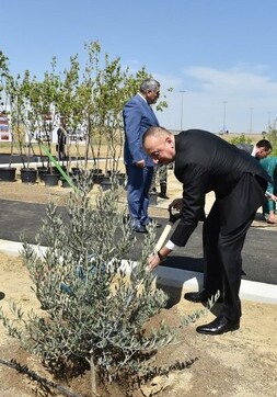 Президент Ильхам Алиев принял участие в акции по посадке деревьев (Фото)