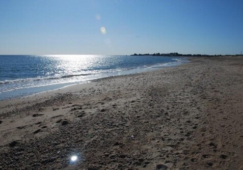 Начинается проверка качества морской воды на пляжах Абшерона