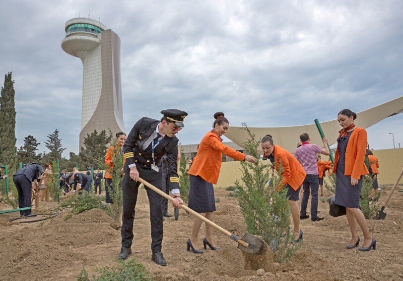 В Международном аэропорту Гейдар Алиев прошла акция по посадке деревьев (Фото)