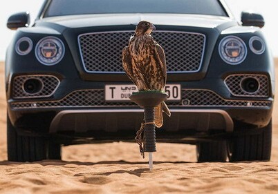 Bentley добавила в салон насест для птиц (Фото)