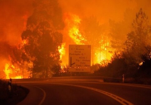 Число погибших в лесных пожарах в Португалии достигло 62 человек (Обновлено-Фото)