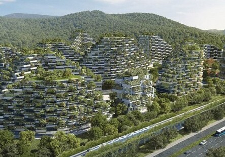 В Китае из-за смога будут строить «лесные города»
