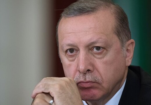 Германия запретила Эрдогану выступать перед соотечественниками на полях G20